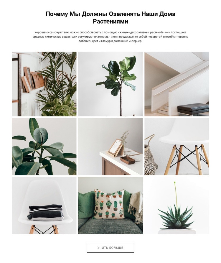 Домашние растенияПравить Дизайн сайта