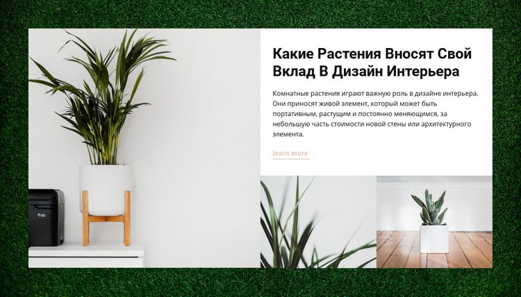 Домашние растения Дизайн сайта