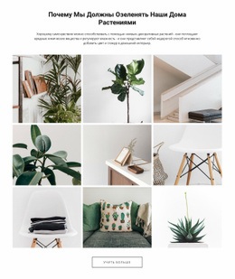 Домашние РастенияПравить – Тема Страницы