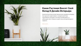 Домашние Растения – Простой Шаблон Сайта