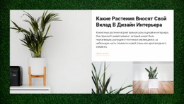Домашние Растения – Современная Тема WordPress