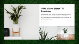 Hemma Växter - Webbplatsdesign
