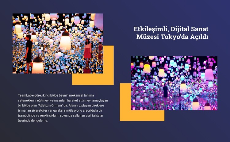 Etkileşimli sanat CSS Şablonu