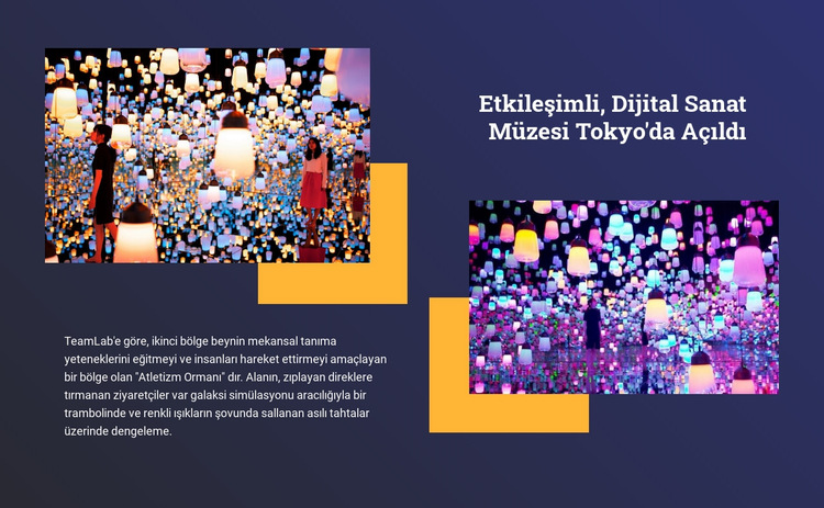 Etkileşimli sanat Web Sitesi Şablonu