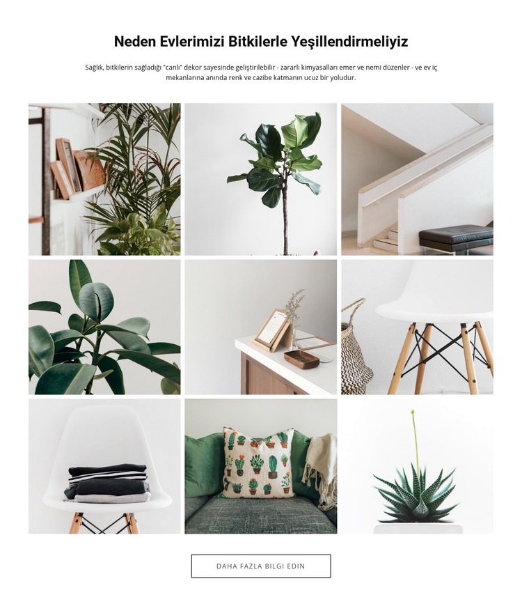 Evler bitkilerDüzenle Web sitesi tasarımı