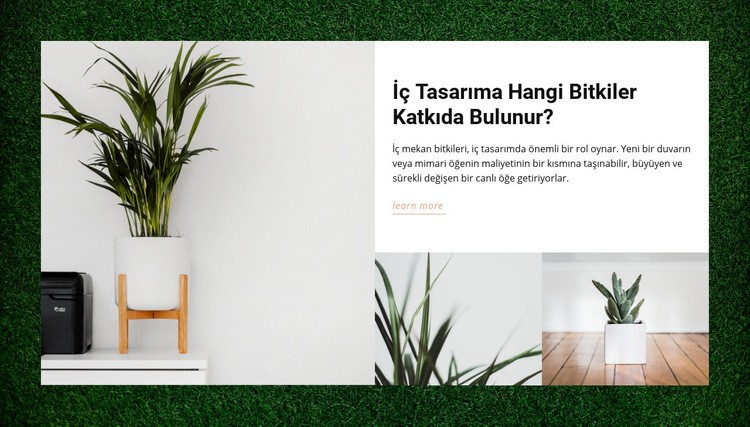 Evler bitkiler Web sitesi tasarımı