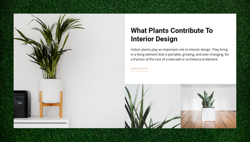 Homes plants Web Page Design