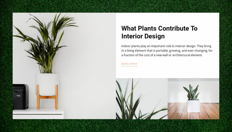 Homes plants Web Page Designer