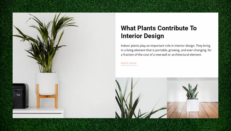 Homes plants Website Mockup
