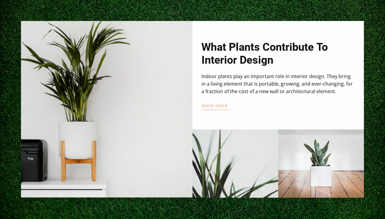 Homes plants WordPress Website Builder