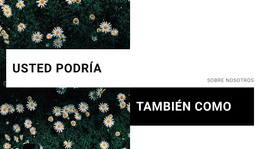 Usted Podría - Plantilla Personal