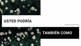 Usted Podría - Plantilla Joomla De Funcionalidad