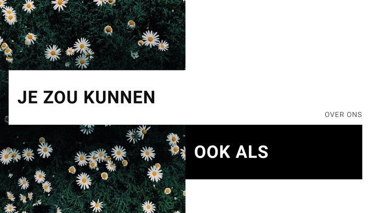 Je zou kunnen Website ontwerp