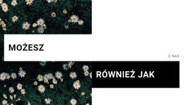 Możesz Szablon Siatki CSS