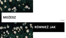 Możesz Szablon Siatki CSS