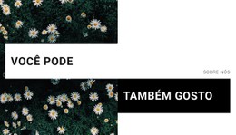 Você Pode Modelo De Grade CSS