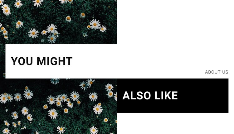You Might Webflow Template Alternative