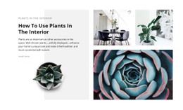 CSS Menu For The Power Of Plants