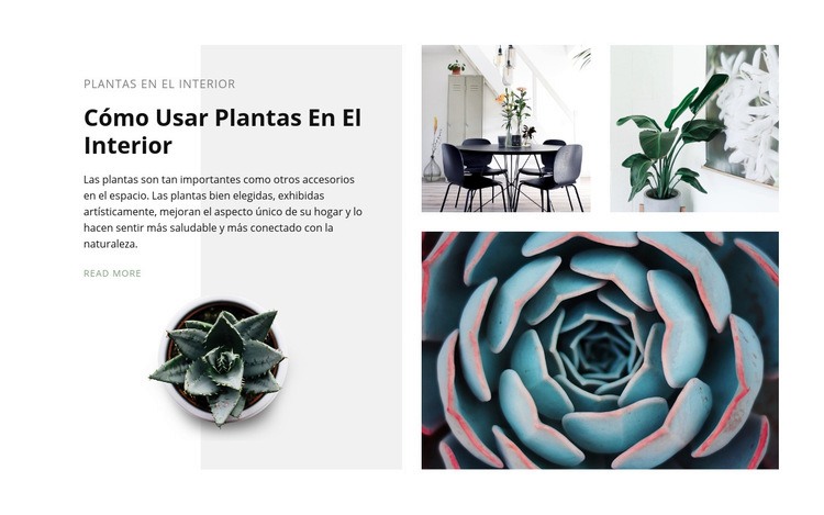 El poder de las plantas Diseño de páginas web