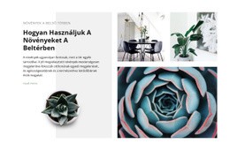 A Növények Ereje – Ingyenes Sablon