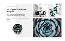 Moc Roślin – Motyw WordPressa