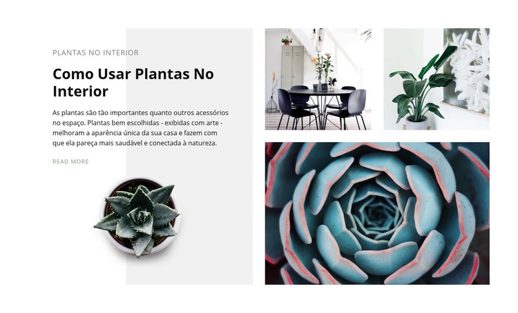 O poder das plantas Design do site
