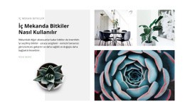 Bitkilerin Gücü - Ücretsiz Şablon