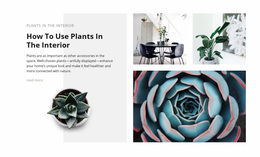 Website Design For The Power Of Plants