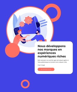 Expérience Et Conception De La Marque - Modèle De Création De Site Web