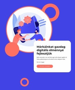 Márka Tapasztalat És Dizájn Ingyenes CSS Webhelysablon