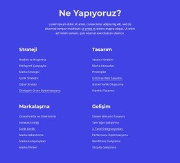 Grafik, Web Ve Baskı Tasarımı - Web Sitesi Tasarımı
