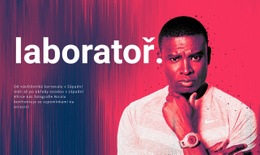 Laboratoř Motivy WordPressu