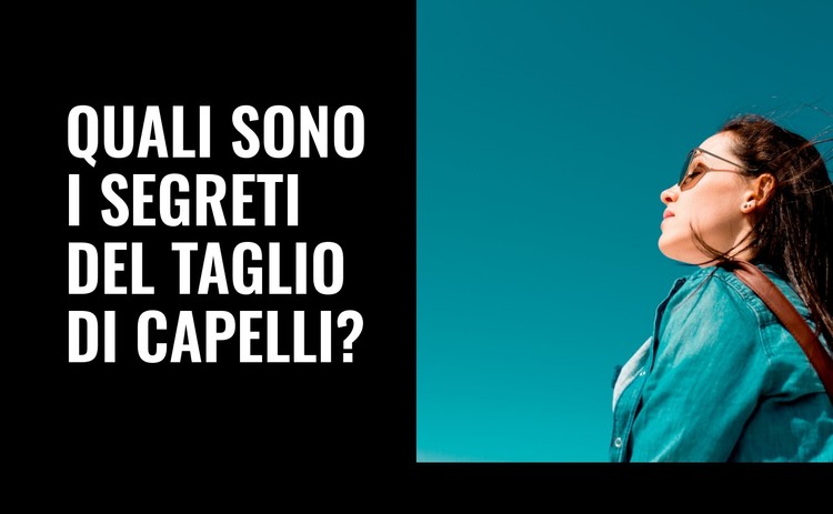 Segreti del taglio di capelli Modello CSS