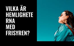 Ladda Ner WordPress-Tema För Frisyrens Hemligheter