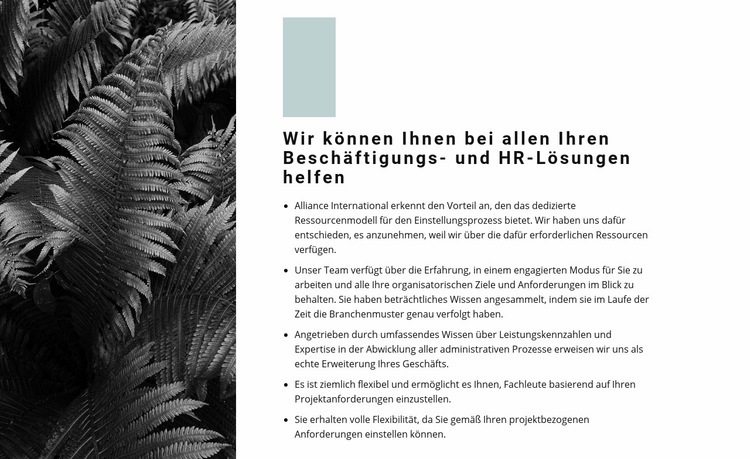 Liste unserer Regeln Website design