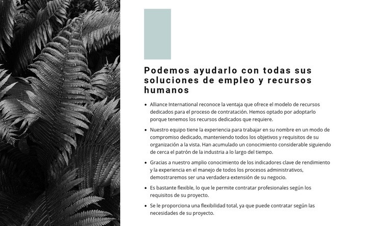 Lista de nuestras reglas Plantillas de creación de sitios web