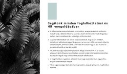 A Legkreatívabb WordPress Téma A Következőhöz: Szabályaink Listája