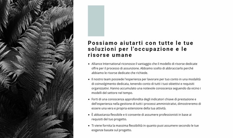 Elenco delle nostre regole Mockup del sito web