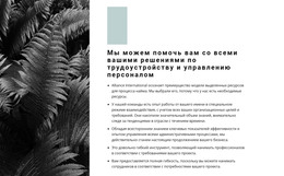 Список Наших Правил