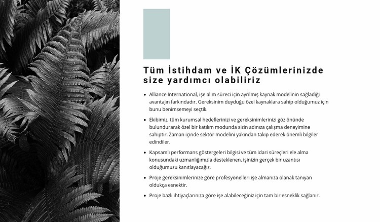 Kurallarımızın listesi Web sitesi tasarımı