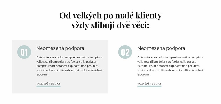 Od velkých po malé klienty Šablona webové stránky