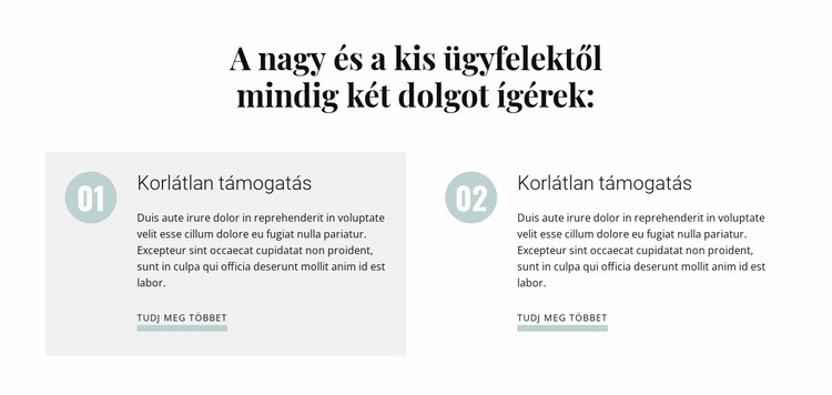 A nagy ügyfelektől a kis ügyfelekig CSS sablon