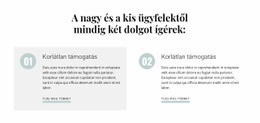 Webdesign A Nagy Ügyfelektől A Kis Ügyfelekig Számára