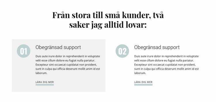 Från stora till små kunder HTML-mall