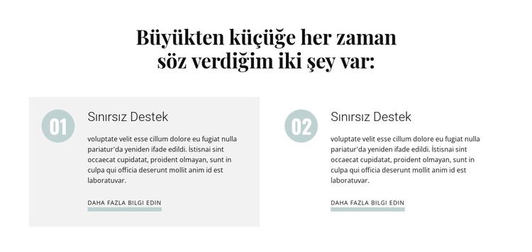 Büyükten küçüğe müşteri CSS Şablonu