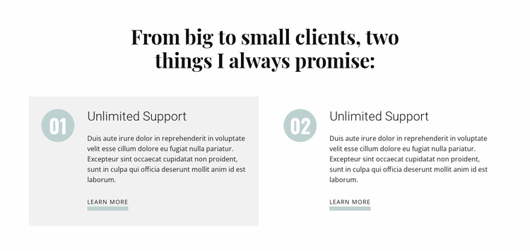 From big to small clients WordPress Website Builder