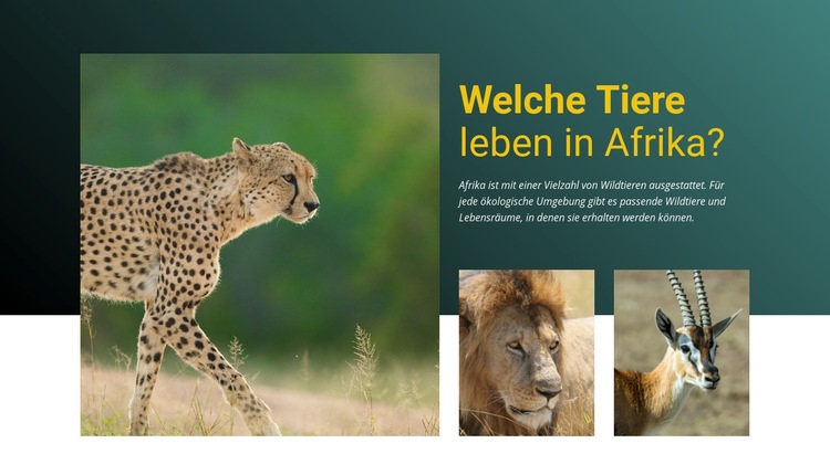 Lebe in Afrika Landing Page