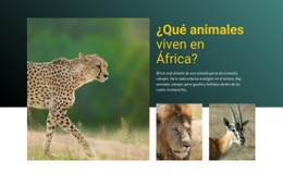 Vivir En Africa - Builder HTML