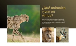 Vivir En Africa - Plantilla De Maqueta De Sitio Web