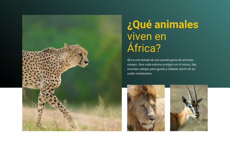 Vivir en africa Tema de WordPress